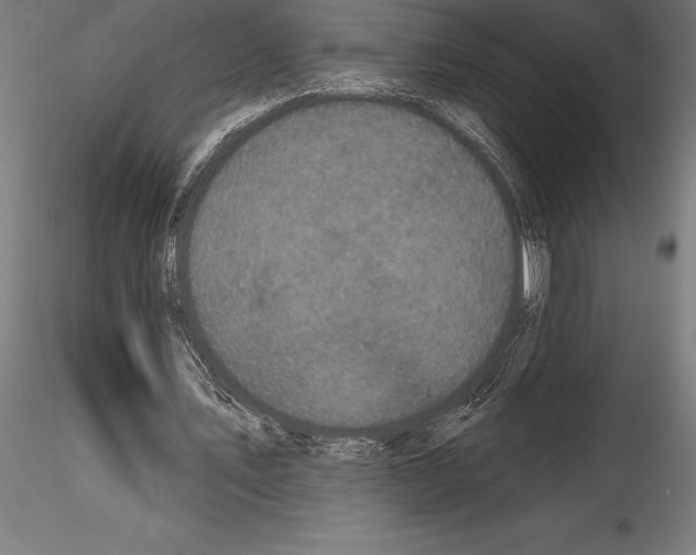 X0000114580579200911301337