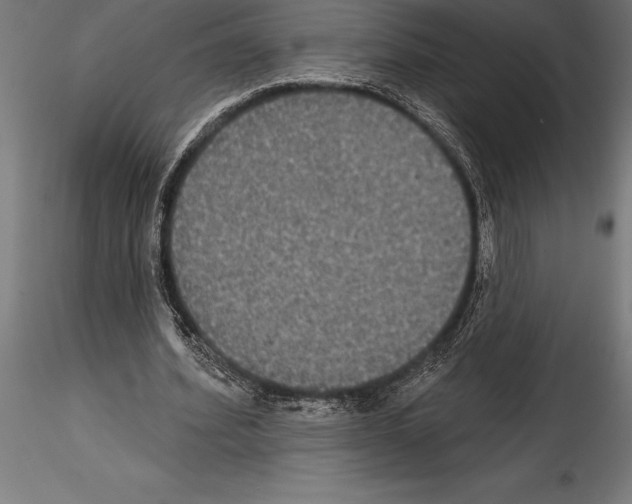 X0000114580580200911301337