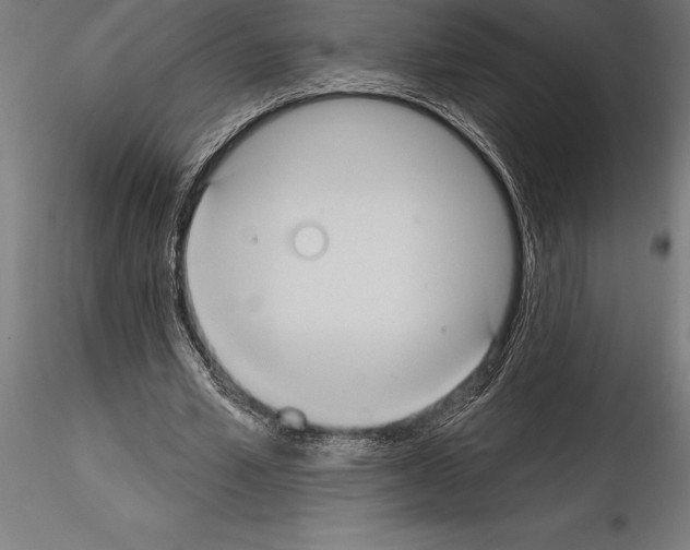 X0000114580581200911301337