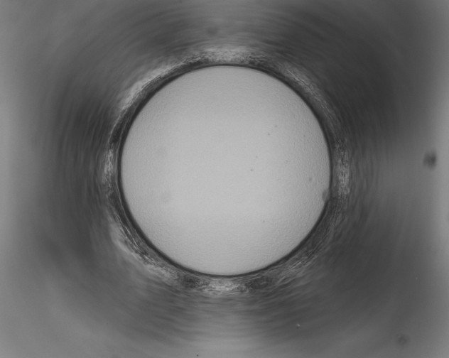 X0000114580583200911301337