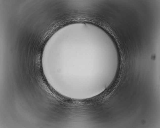 X0000114580585200911301337