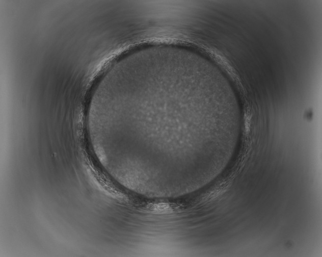 X0000114580588200911301337