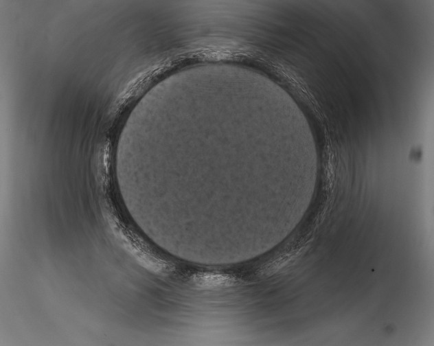 X0000114580590200911301337