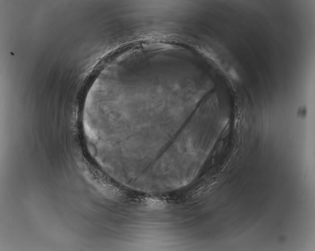 X0000114580592200911301337