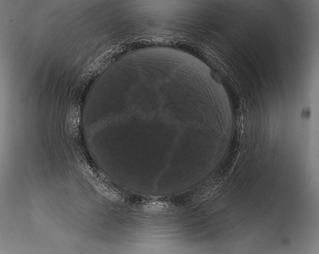 X0000114580593200911301337