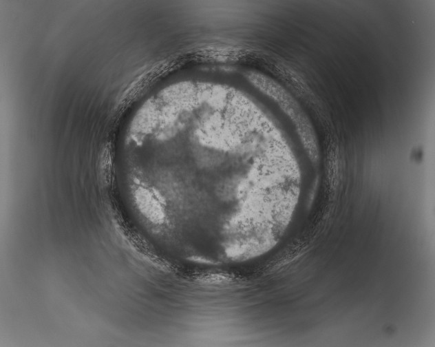 X0000114580594200911301337