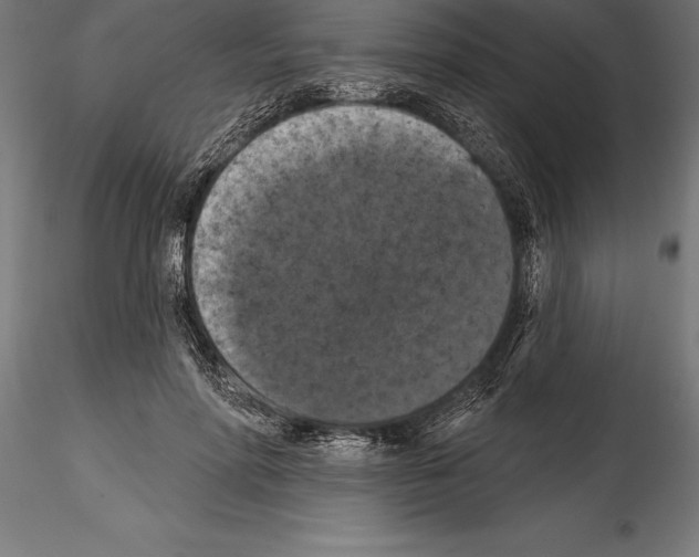 X0000114580598200911301337