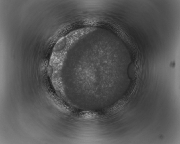 X0000114580601200911301337