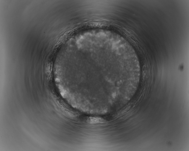 X0000114580605200911301337