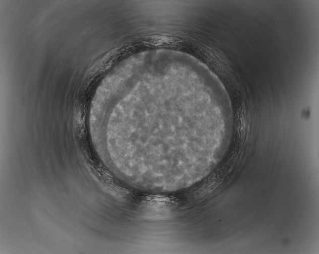 X0000114580607200911301337