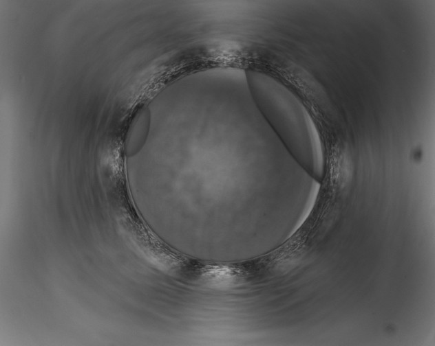 X0000114580611200911301336