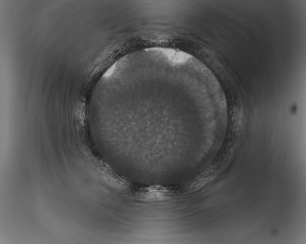 X0000114580612200911301336