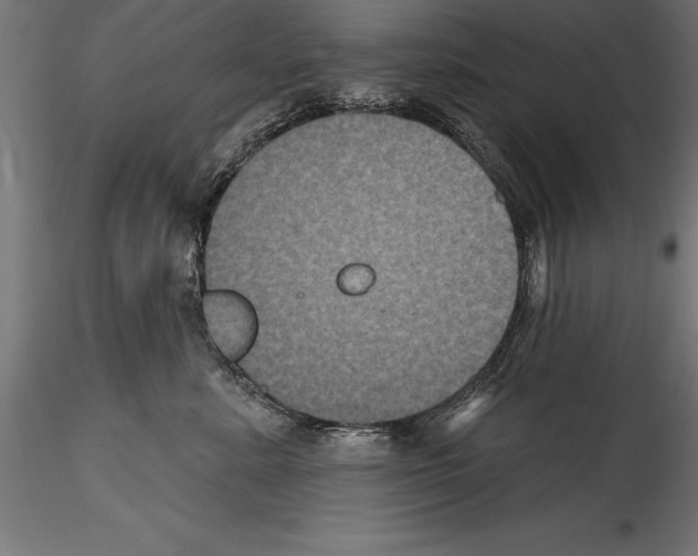 X0000114580619200911301336