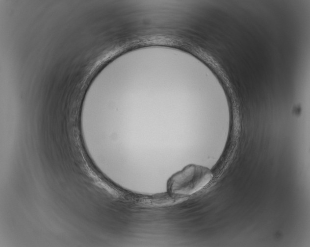 X0000114580625200911301335