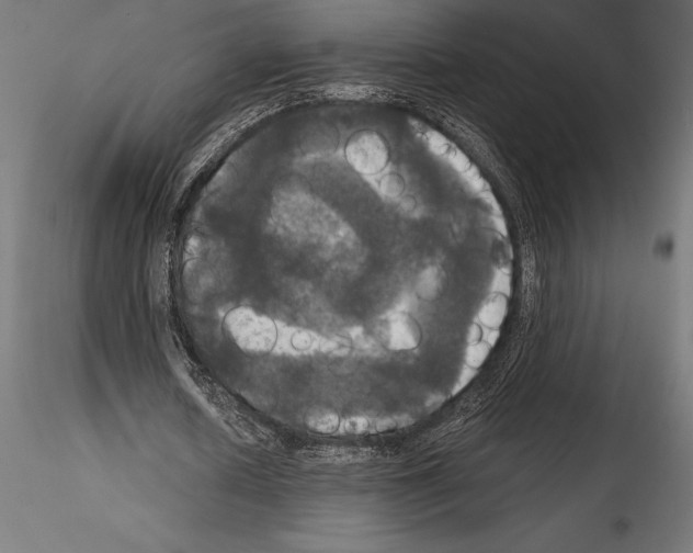 X0000114580626200911301335