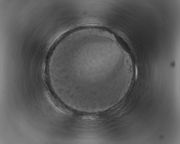 X0000114580627200911301335