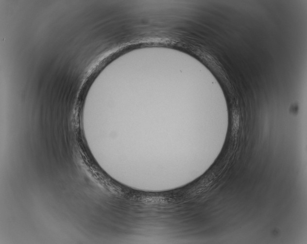 X0000114580628200911301335