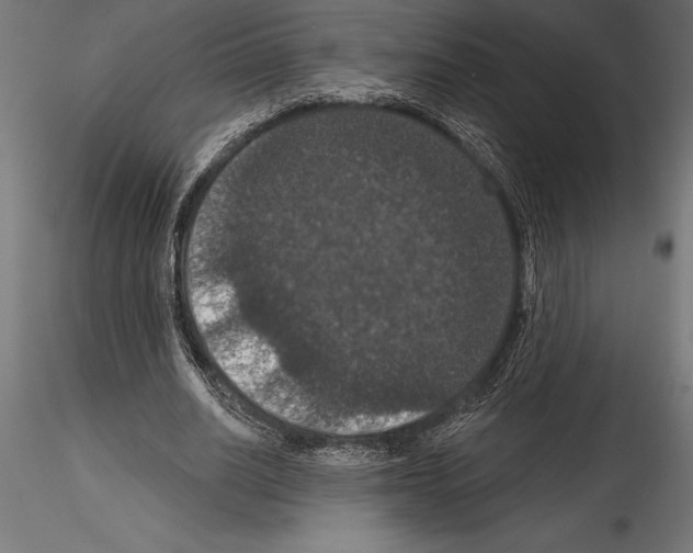 X0000114580630200911301335