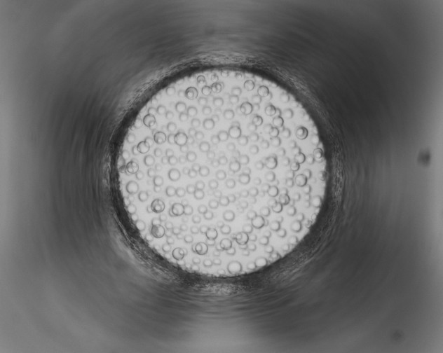 X0000114580631200911301335