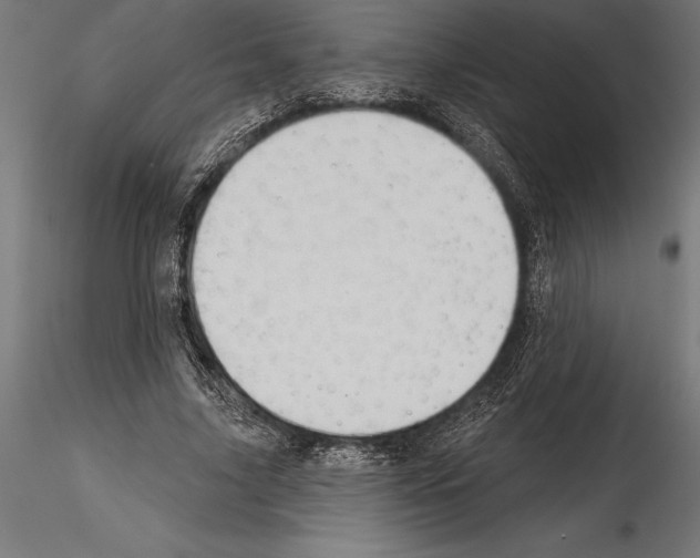 X0000114580635200911301335