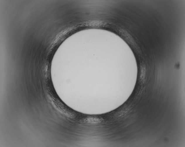 X0000114580636200911301335