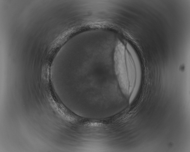 X0000114580637200911301335