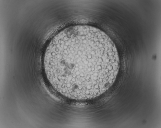 X0000114580638200911301335