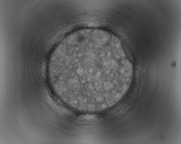 X0000114580639200911301335