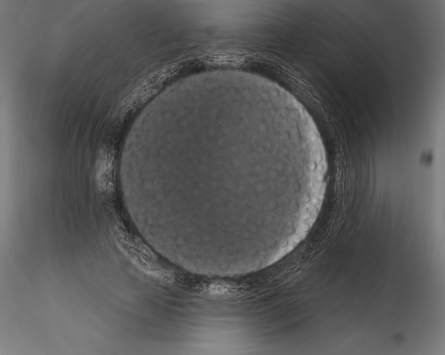 X0000114580641200911301336