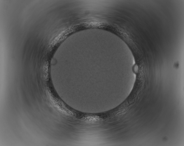 X0000114580642200911301336