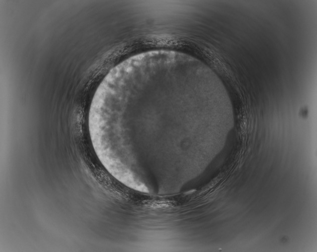 X0000114580643200911301336