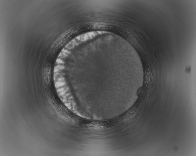 X0000114580648200911301336