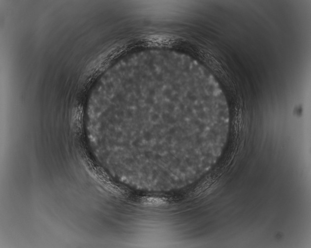 X0000114580649200911301336