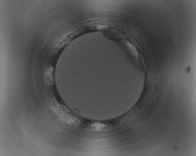 X0000114580650200911301336