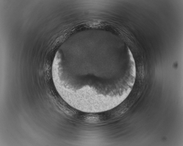 X0000114580653200911301336