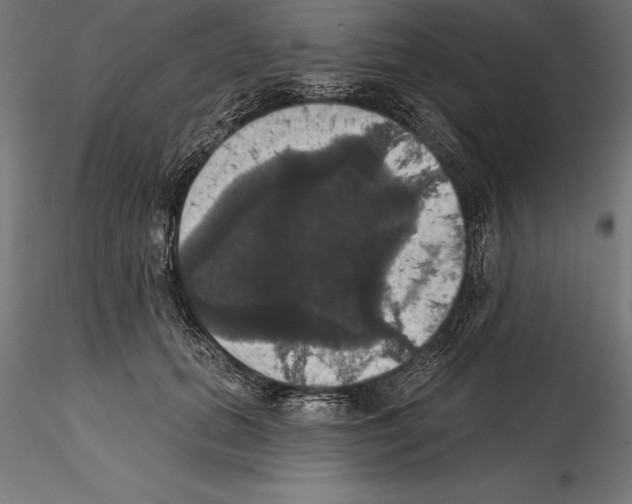 X0000114580655200911301336