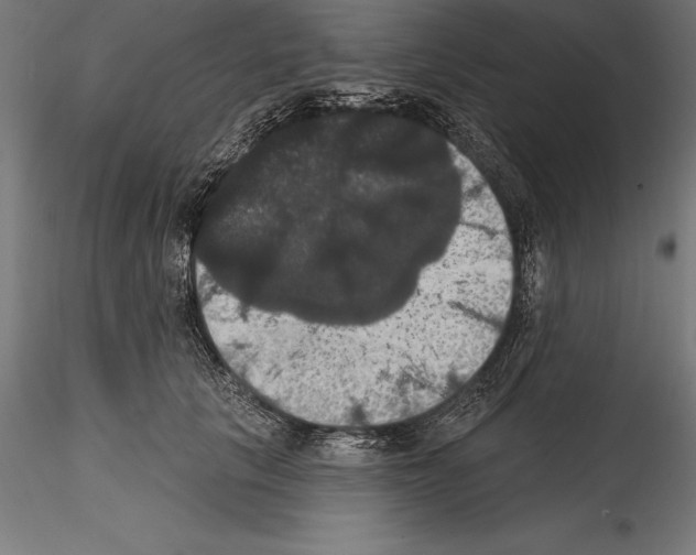 X0000114580657200911301336