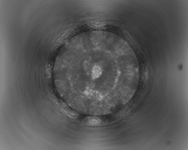 X0000114580658200911301336