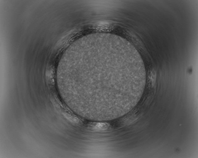 X0000114580663200911301336