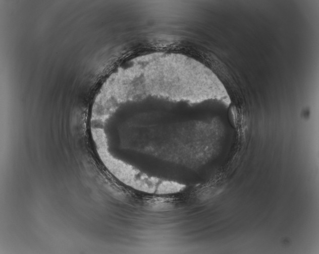 X0000114580664200911301336