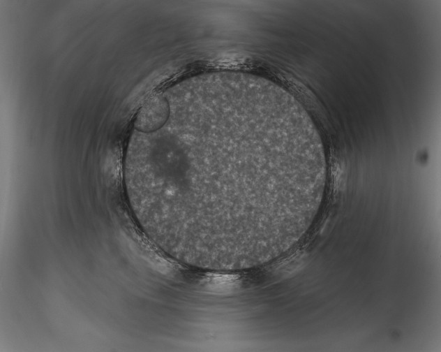 X0000114580665200911301336