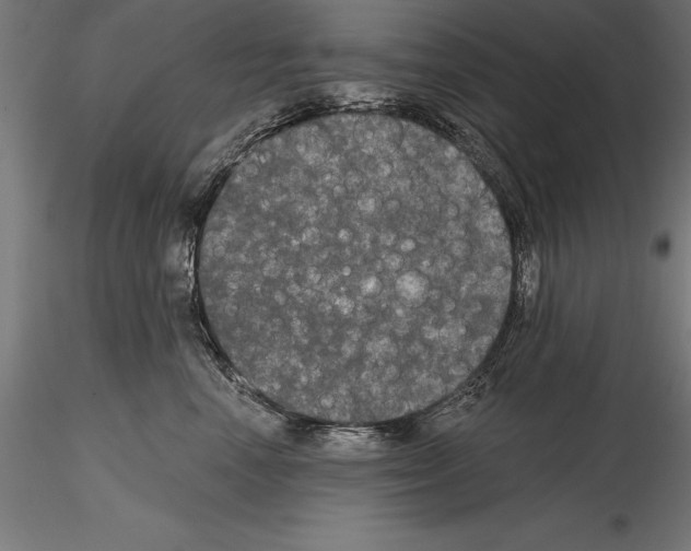 X0000114580666200911301336