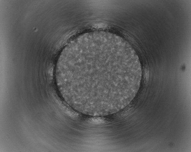 X0000114580668200911301336