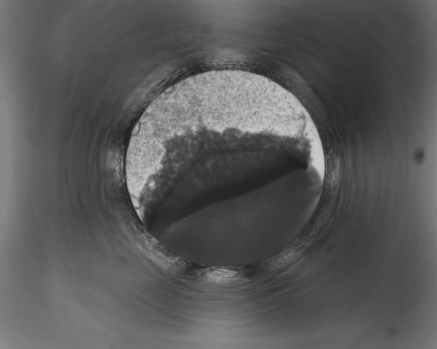 X0000114580669200911301336