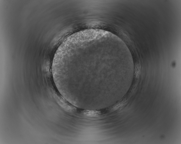 X0000114580670200911301336