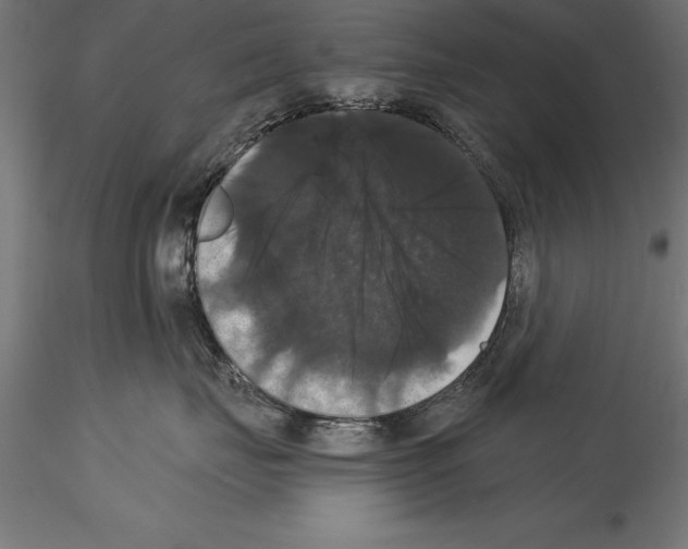 X0000114580671200911301336