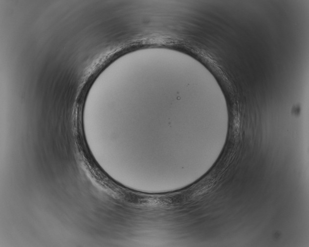 X0000114580678200911301335