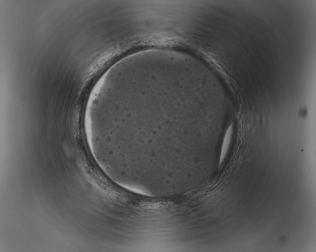 X0000114580679200911301335