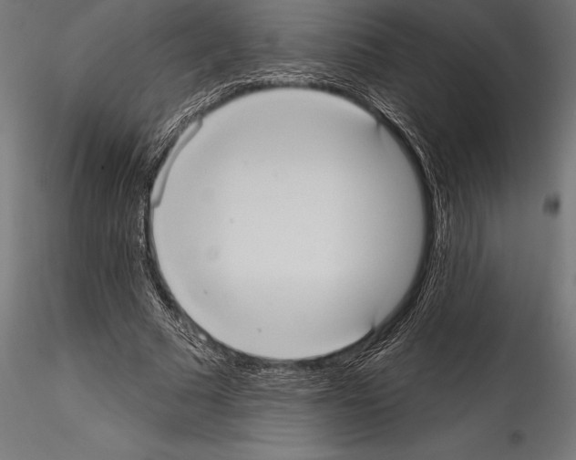 X0000114580681200911301335