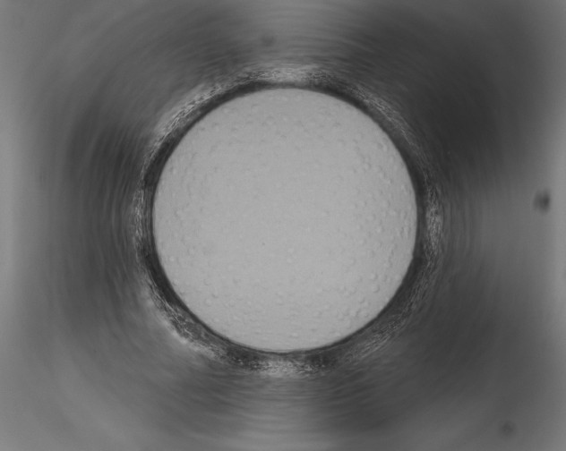 X0000114580682200911301335